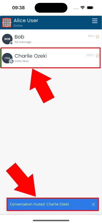 Conversation muted