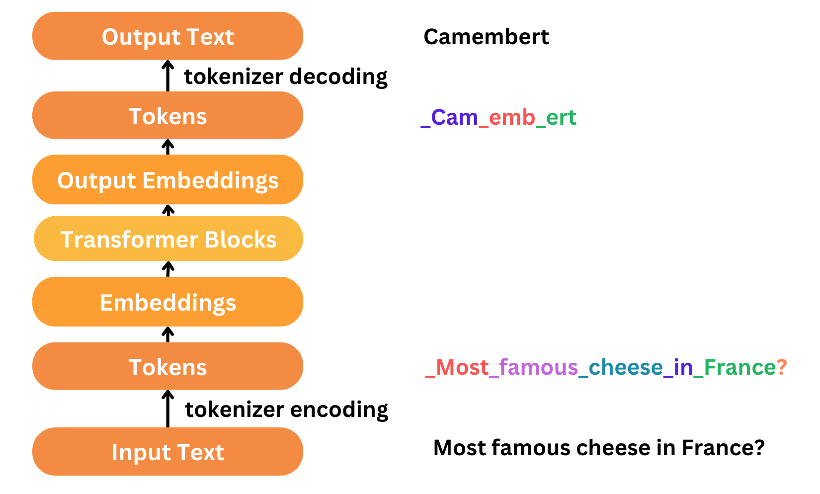 Token Classification